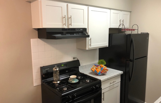 State-of-the-Art Kitchen | Mount Prospect Apartments | The Element