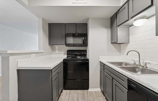 A kitchen with a black dishwasher and stove.