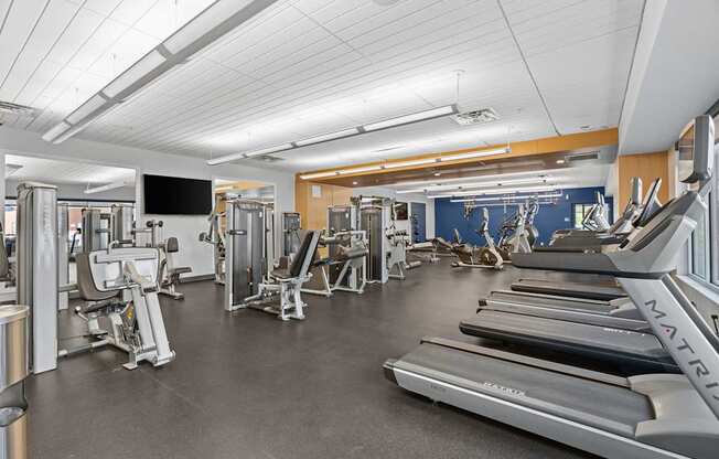 A gym with treadmills, weights, and exercise equipment.