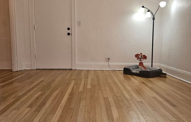 Studio, 1 bath, 337 sqft, $1,100, Unit 22