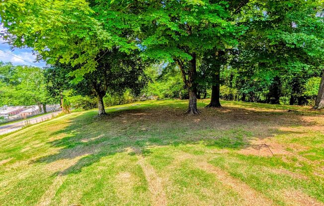Completely Renovated 4 bed 2.5 bath Ranch in North Hall