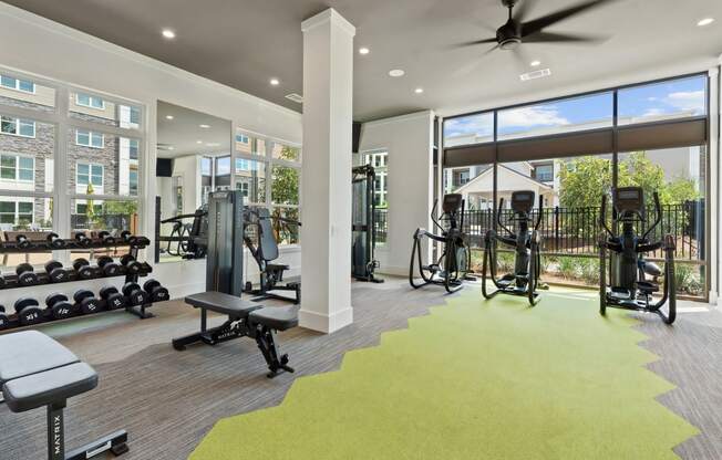 Fitness Studio with Free Weights