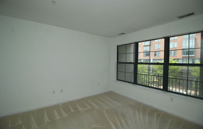 2 beds, 2 baths, $3,700, Unit Unit 219