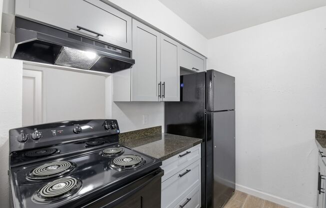 1 bed, 1 bath, 742 sqft, $939, Unit 1003