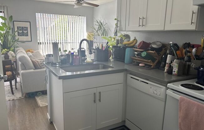 1 bed, 1 bath, 475 sqft, $1,850, Unit 204