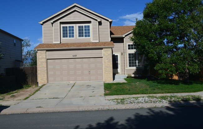 Spacious Sundown 4BD Home on Corner Lot – Near Dublin & Powers
