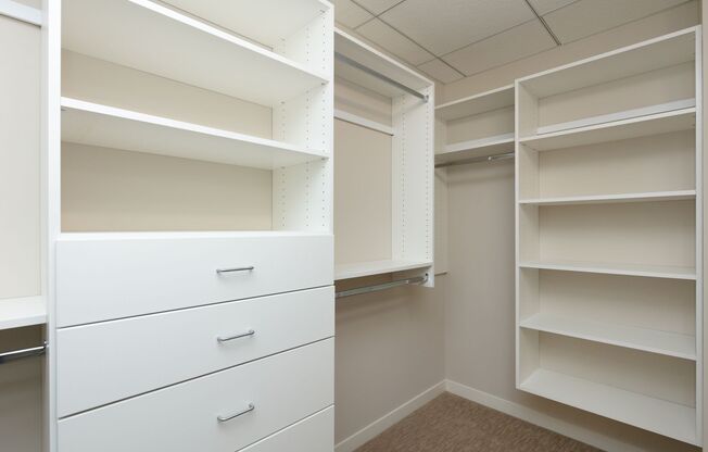 1 bed, 1 bath, 1,232 sqft, $2,695, Unit 113