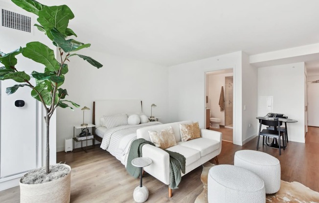 a bedroom with a couch and a bed and a large potted plant at Cassidy on Canal, Chicago, IL