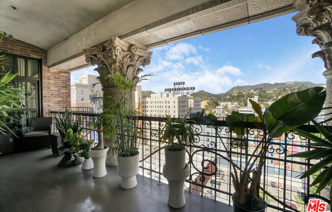 1 bed, 1 bath, 1,560 sqft, $7,500, Unit 1007