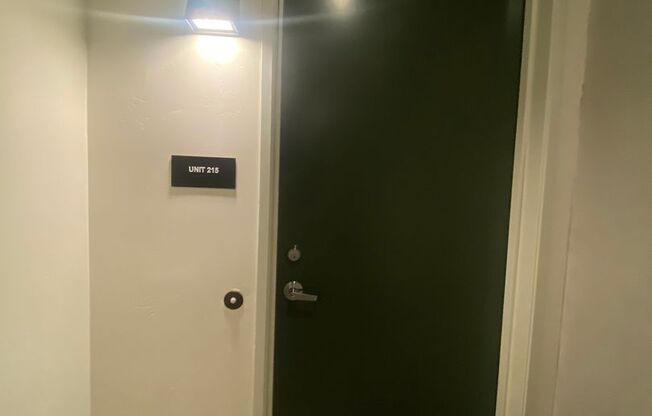 Studio, 1 bath, 436 sqft, $2,395, Unit Unit 215