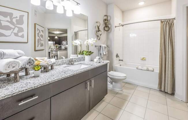 The Point of Tamaya Luxury Apartments in Jacksonville, FL 32246 - bathroom 02