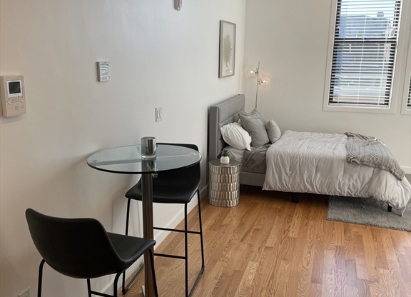 Studio, 1 bath, 425 sqft, $1,595, Unit 207