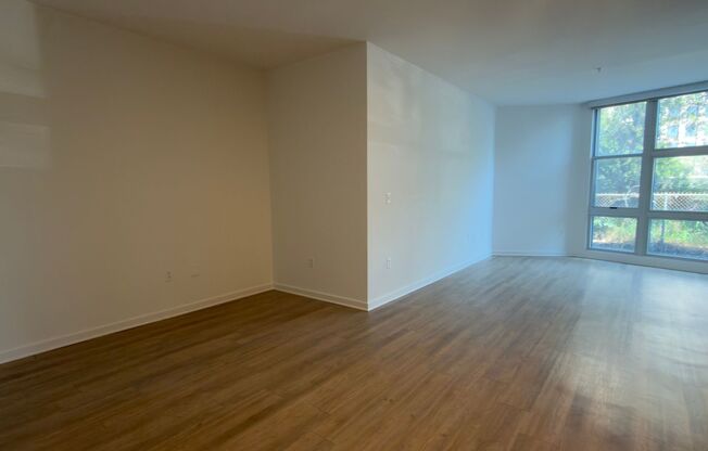 Studio, 1 bath, 609 sqft, $2,145, Unit 249