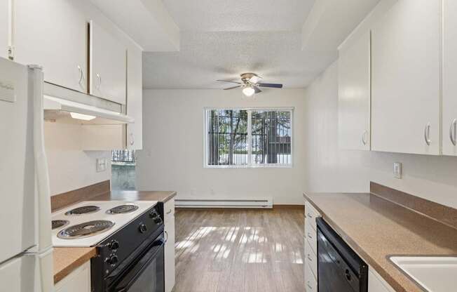 A kitchen with white cabinets and a black dishwasher.