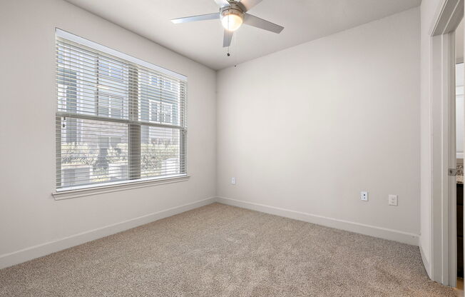 Plush Carpeting at North Creek, Hutto, TX