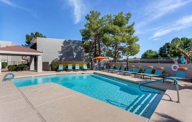 A large swimming pool with lounge chairs and trees in the background.
