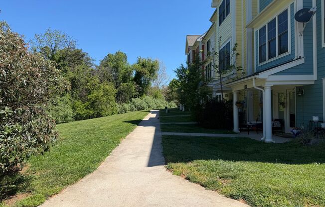 WP - Beryl Street