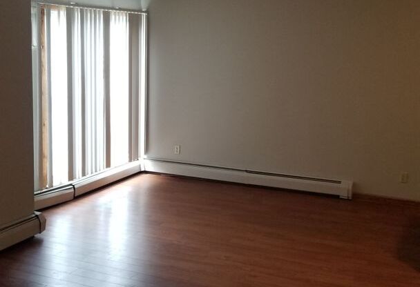 Studio, 1 bath, 400 sqft, $869, Unit 311