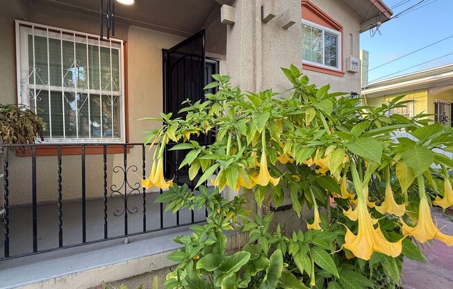EPIC REA: Charming 2 Bed/ 1 Bath Home in Oakland’s Foothill Neighboorhood