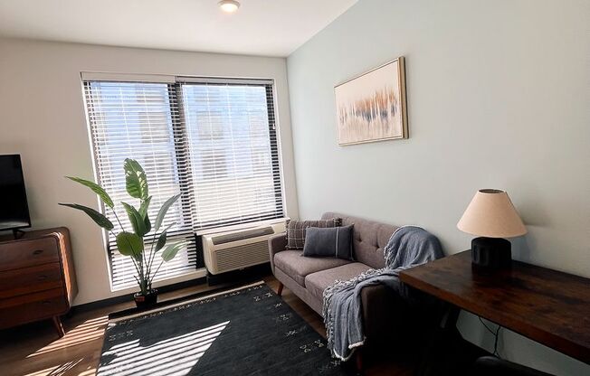 Studio, 1 bath, 425 sqft, $1,695, Unit 317 - Furnished