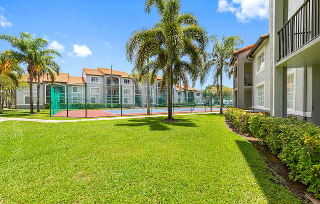 A tennis court is surrounded by a green fence and palm trees.