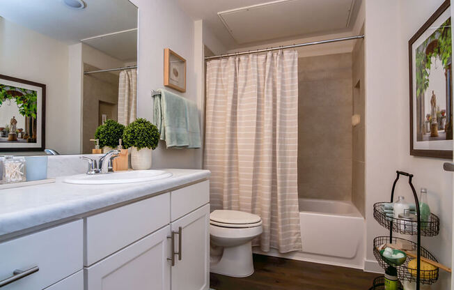 Luxurious Bathrooms at Aviator at Brooks Apartments, Clear Property Management, San Antonio, TX