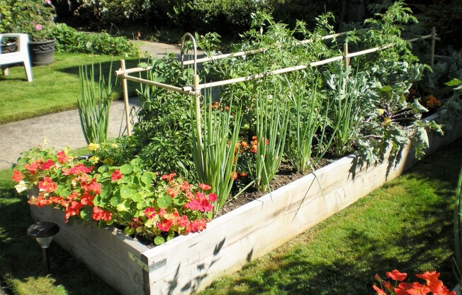 1 bed, 1 bath, 624 sqft, $1,495, Unit A04