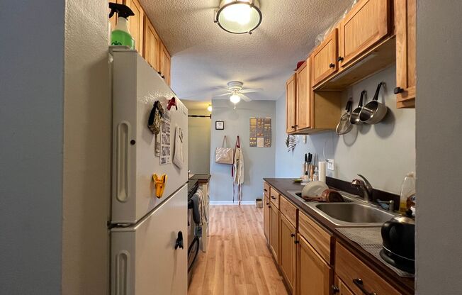 1 bed, 1 bath, 550 sqft, $1,195, Unit 302