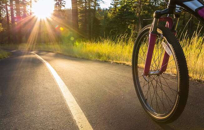 A bicycle is parked on the side of a road with the sun shining through the trees.