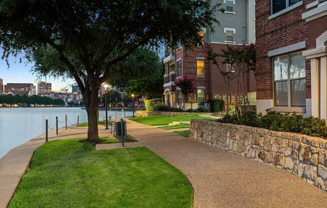 A tree stands on a grassy area next to a paved walkway.