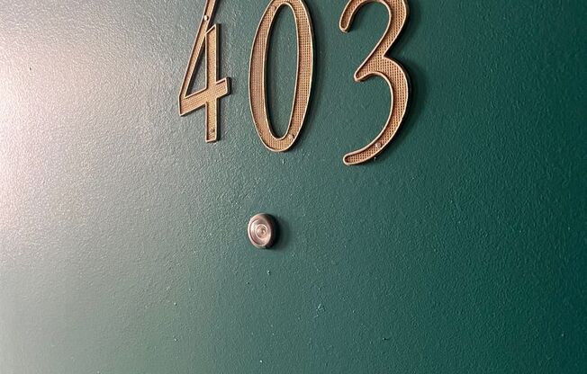 Studio, 1 bath, 380 sqft, $1,245, Unit 403