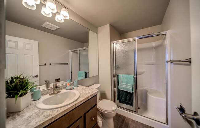 Sliding Glass Shower in Bathroom