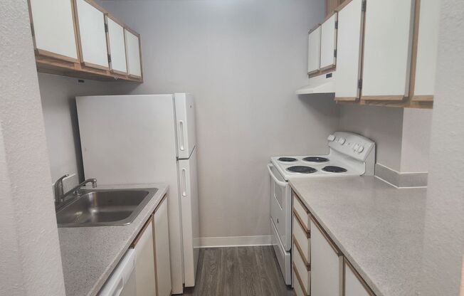 Studio, 1 bath, 442 sqft, $1,350, Unit A-303