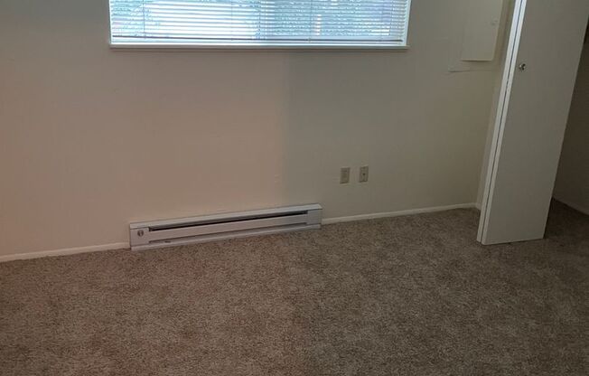 1 bed, 1 bath, 700 sqft, $1,050