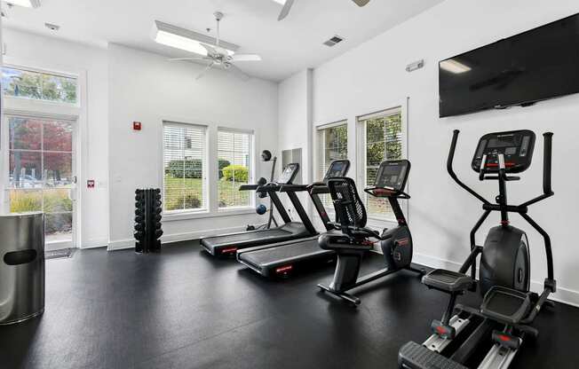naturally lit fitness center with gym equipment