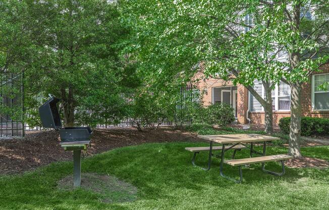 an empty park bench sitting in front of a tree