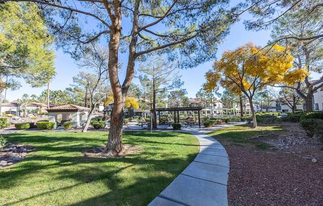 A tree with yellow leaves stands in a grassy area.