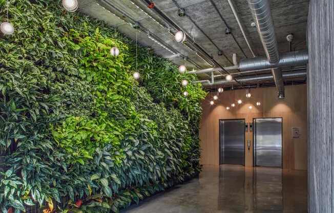 A green wall of plants lines a hallway.