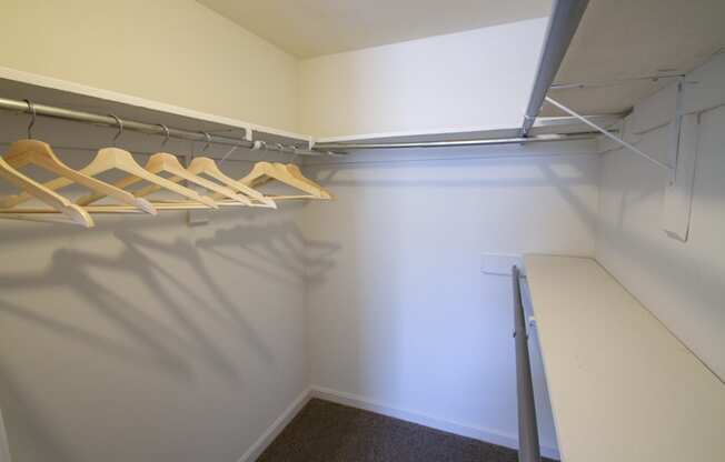 This is a picture of the primary bedroom walk-in closet in an upgraded 980 square foot, 2 bedroom, 1 bath model apartment at Fairfield Pointe Apartments in Fairfield, Ohio.
