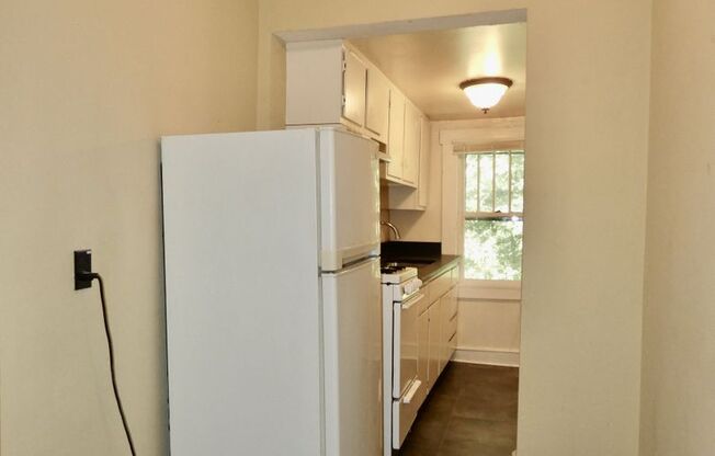 1 bed, 1 bath, $1,250, Unit Apt #6