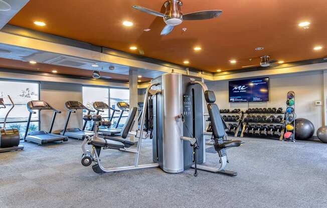 A gym with a variety of equipment including a treadmill, weights, and a television.