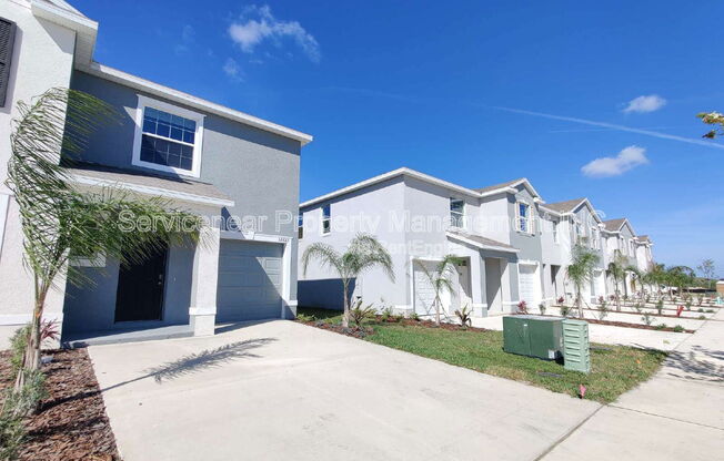 32223 TURTLE GRACE LOOP