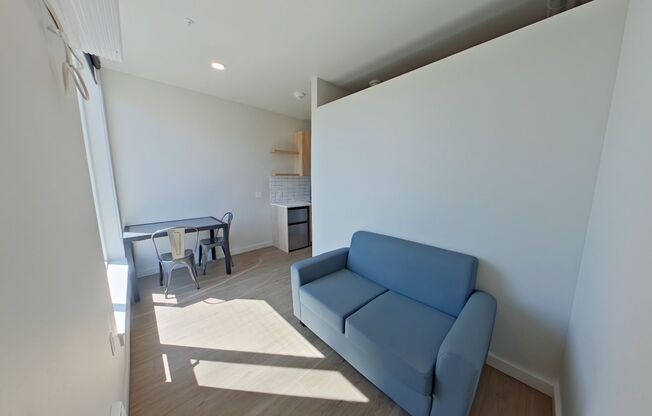 Studio, 1 bath, 314 sqft, $1,250, Unit 411