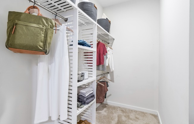 Spacious closets with custom shelving.