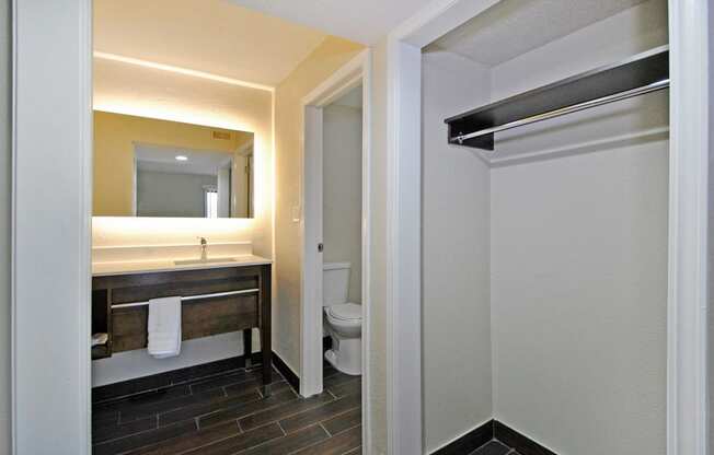 a bathroom with a toilet and a sink and a mirror