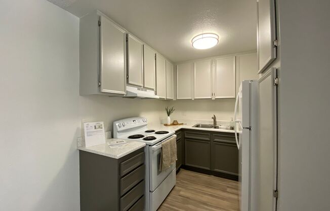 1 bed, 1 bath, 700 sqft, $2,495, Unit 10