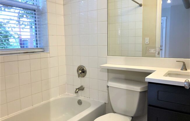 1 bed, 1 bath, 350 sqft, $1,650, Unit 2520-A3