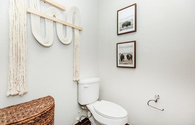 1 bed, 1 bath, 443 sqft, $1,009