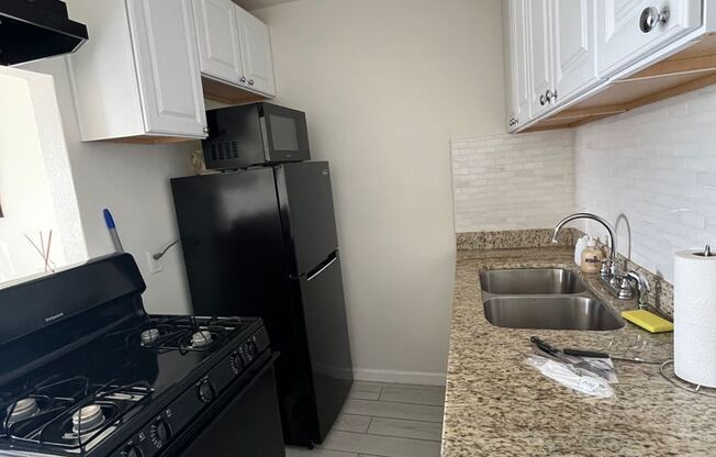 1 bed, 1 bath, 420 sqft, $1,375, Unit 1