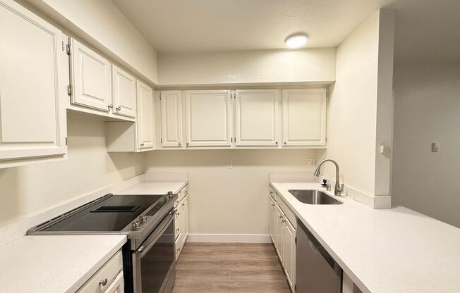 51 ESSEX ST